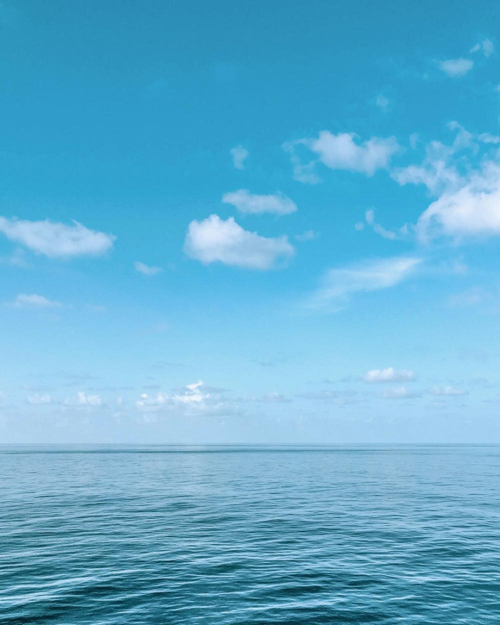 Trendende fritidsinteresser lige nu